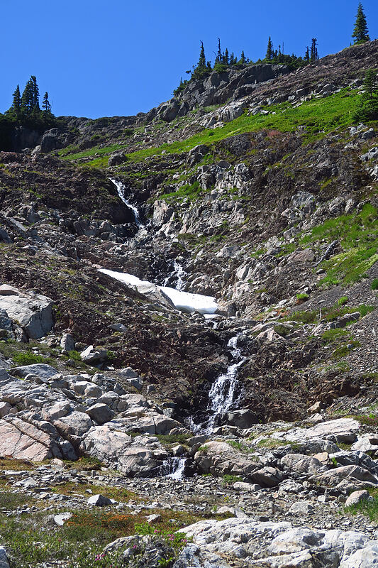 snowmelt stream [above Lake of the Angels, Olympic National Park, Mason County, Washington]