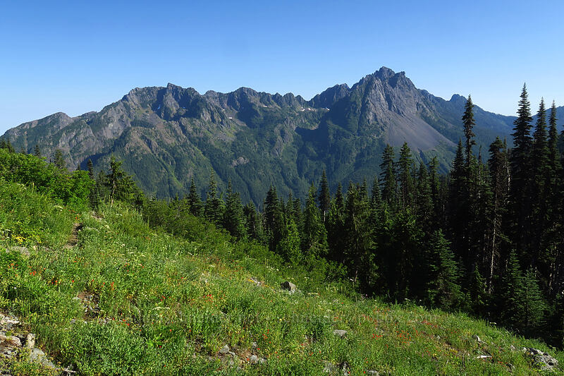 Jefferson Peak & Mt. Pershing [Putvin Trail, Olympic National Park, Mason County, Washington]