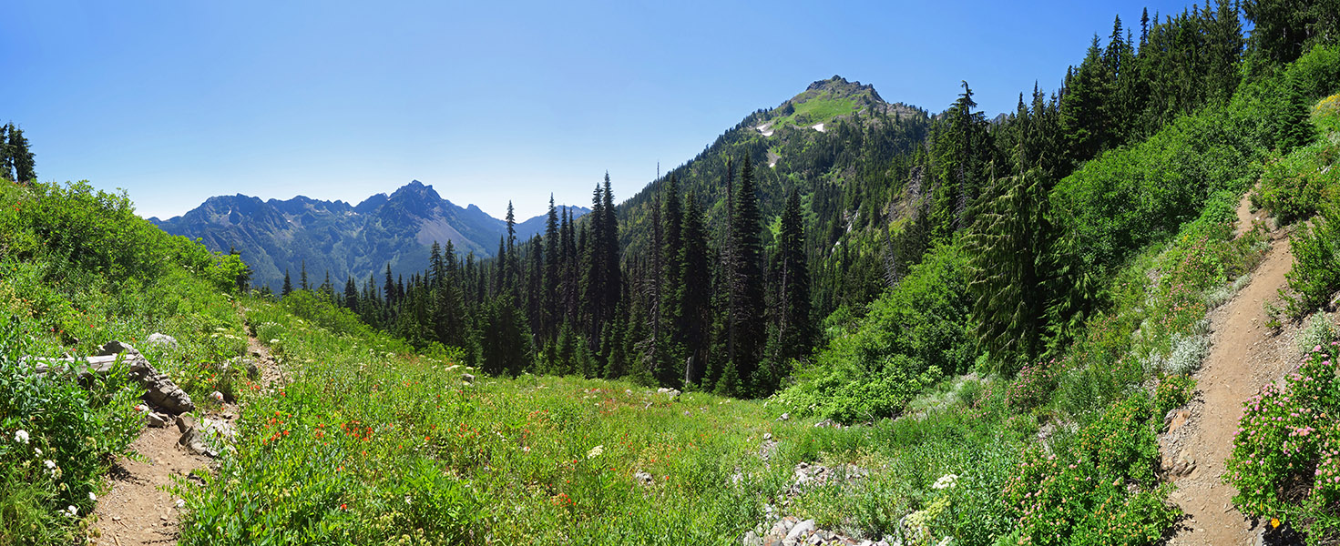 Putvin Trail panorama [Putvin Trail, Mount Skokomish Wilderness, Mason County, Washington]