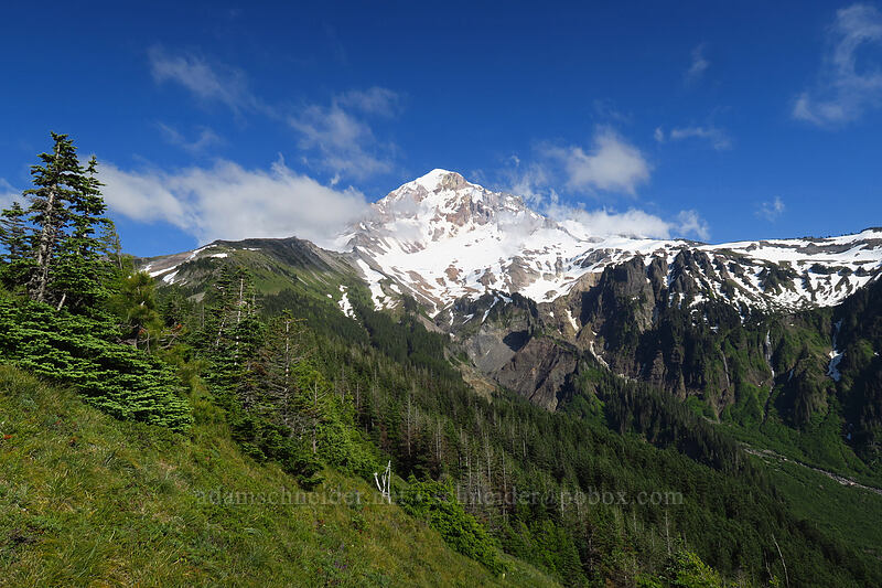 Mount Hood [Bald Mountain Ridge, Mt. Hood Wilderness, Clackamas County, Oregon]
