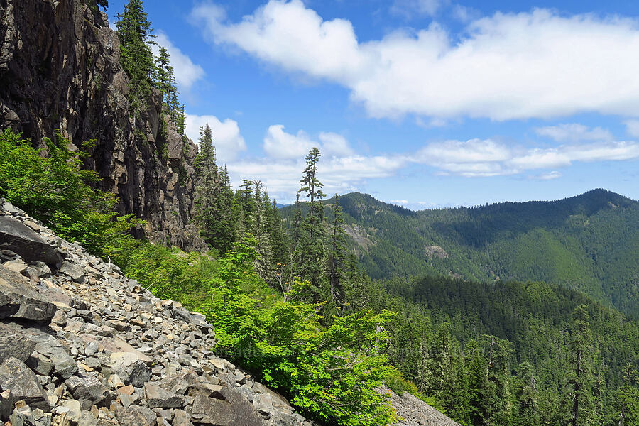 cliffs & talus below Not Nasty Rock [Not Nasty Rock Trail, Willamette National Forest, Marion County, Oregon]