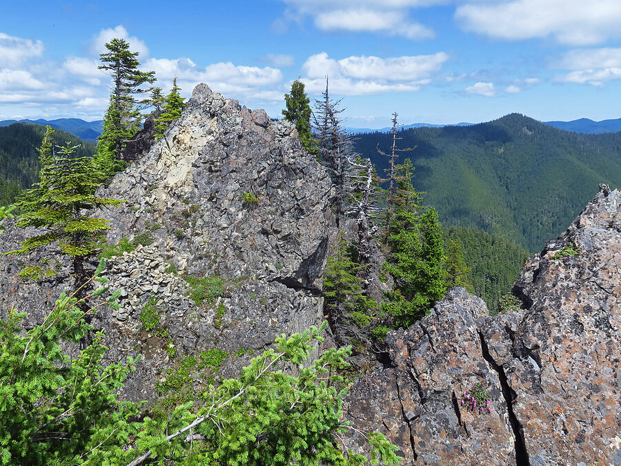 high point of Not Nasty Rock [Not Nasty Rock, Willamette National Forest, Marion County, Oregon]