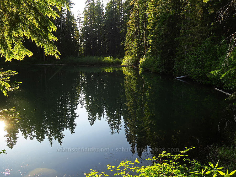 Joyce Lake [Joyce Lake Trail, Clackamas County, Oregon]