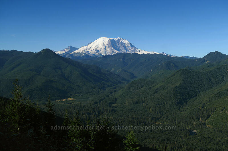 Mount Rainier [Forest Road 72, Mt. Baker-Snoqualmie National Forest, Pierce County, Washington]