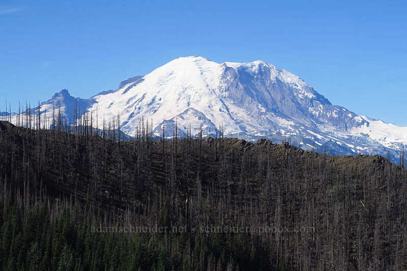 Mount Rainier [Noble Knob, Mt. Baker-Snoqualmie National Forest, Pierce County, Washington]