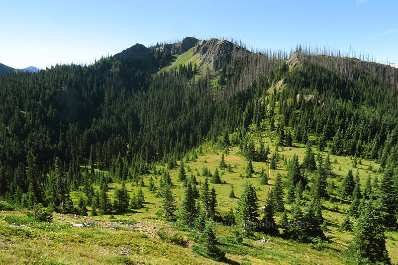 ridge between Noble Knob & Mutton Mountain [Noble Knob, Mt. Baker-Snoqualmie National Forest, Pierce County, Washington]