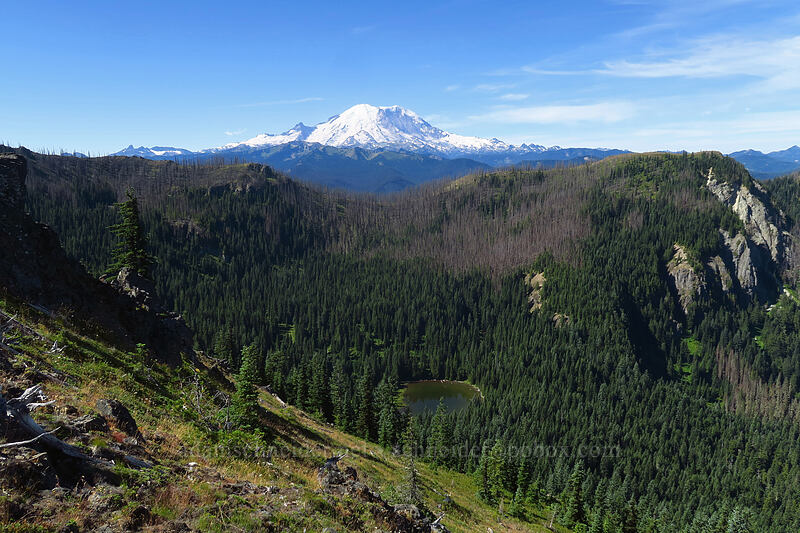 Mount Rainier, Twentyeight Mile Lake, & Dalles Ridge [Noble Knob, Mt. Baker-Snoqualmie National Forest, Pierce County, Washington]