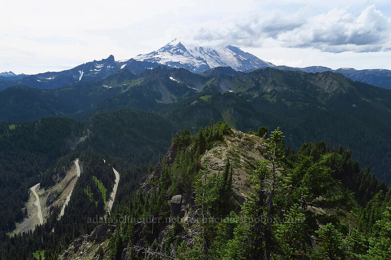 Mount Rainier [Yakima Peak, Mount Rainier National Park, Yakima County, Washington]
