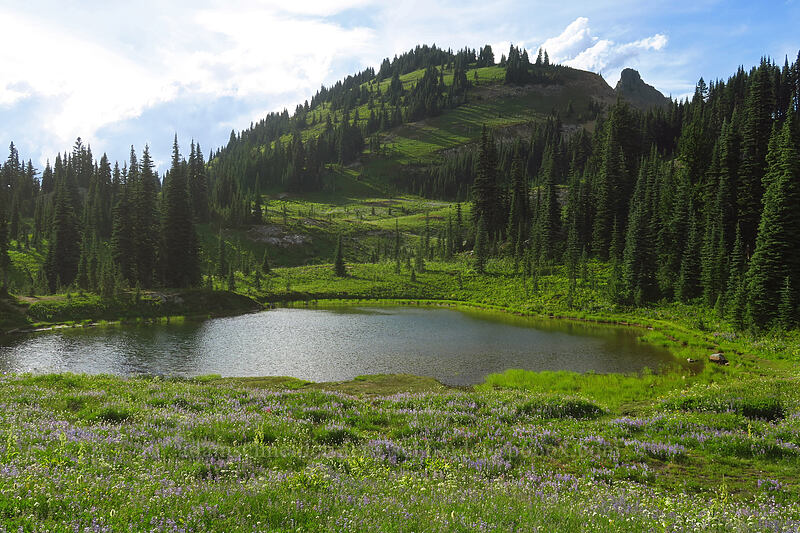 Naches Peak & a pond [Naches Peak Loop Trail, Mount Rainier National Park, Pierce County, Washington]