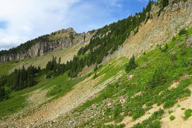 west side of Naches Peak [Naches Peak, Mount Rainier National Park, Pierce County, Washington]