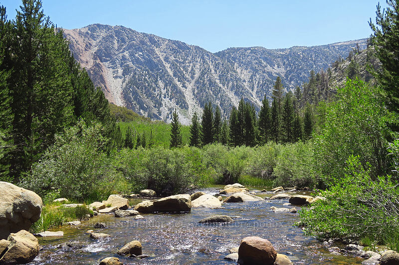North Lake's outlet (North Fork Bishop Creek) [North Lake, Inyo National Forest, Inyo County, California]