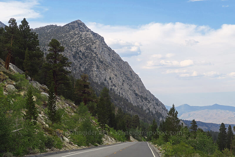 unnamed palisades [Rock Creek Road, Inyo National Forest, Mono County, California]