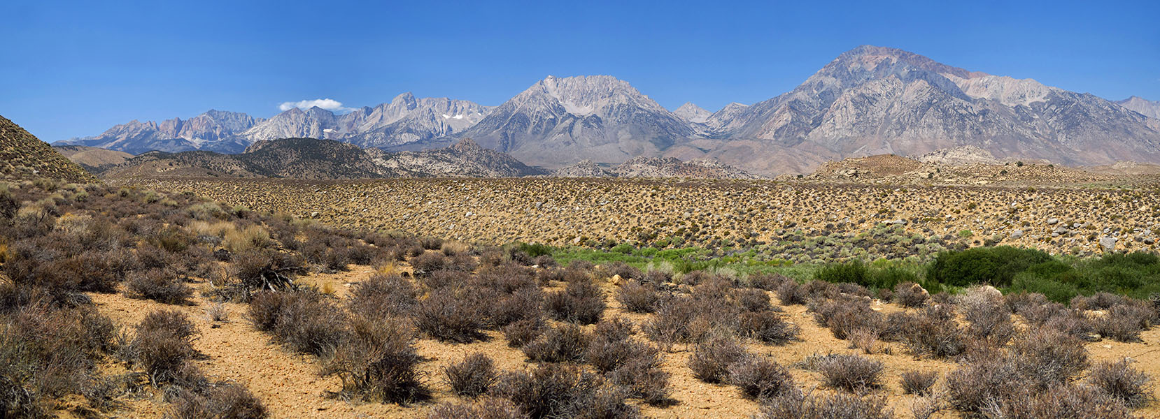 panorama: Mt. Emerson, Mt. Humpreys, & Mt. Tom [California SR-168, Inyo National Forest, Inyo County, California]