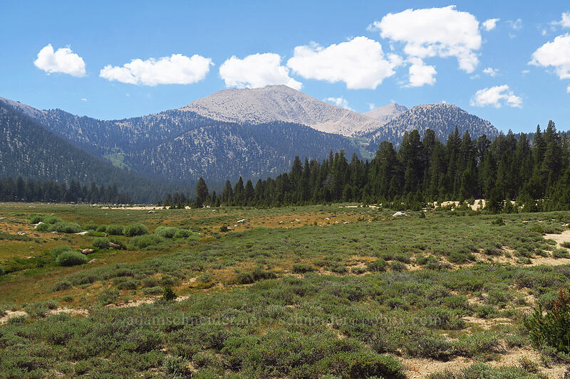 Peak 12336 & Horseshoe Meadow [Horseshoe Meadow, Golden Trout Wilderness, Inyo County, California]