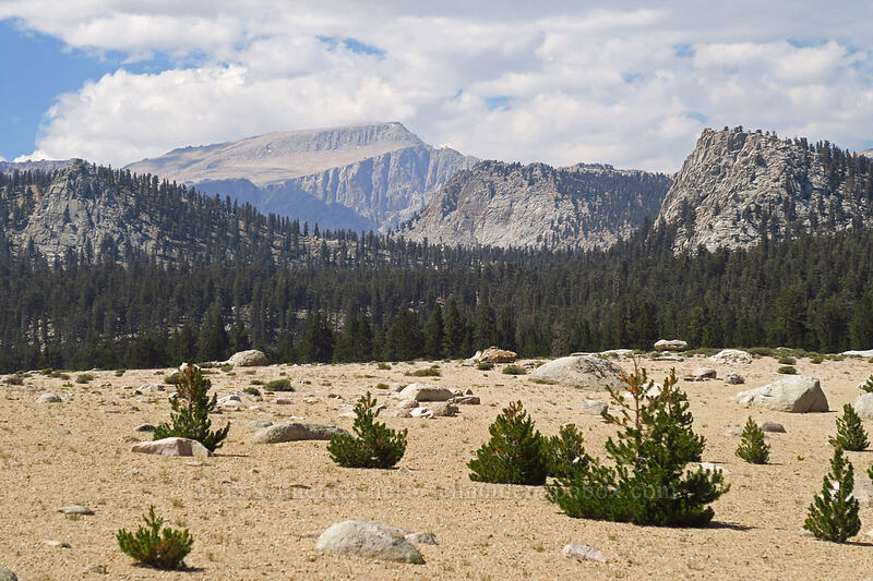 Mount Langley [Horseshoe Meadow, Golden Trout Wilderness, Inyo County, California]