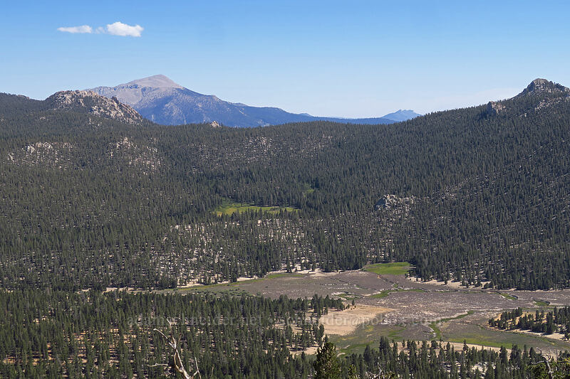 Olancha Peak & Mulkey Meadows [Pacific Crest Trail, Golden Trout Wilderness, Tulare County, California]