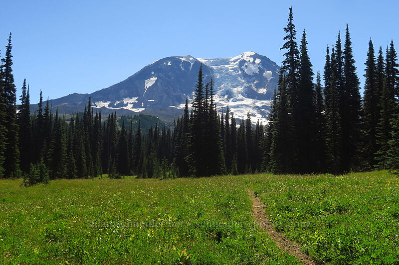 Divide Camp Trail & Mount Adams [Divide Camp Trail, Mt. Adams Wilderness, Skamania County, Washington]