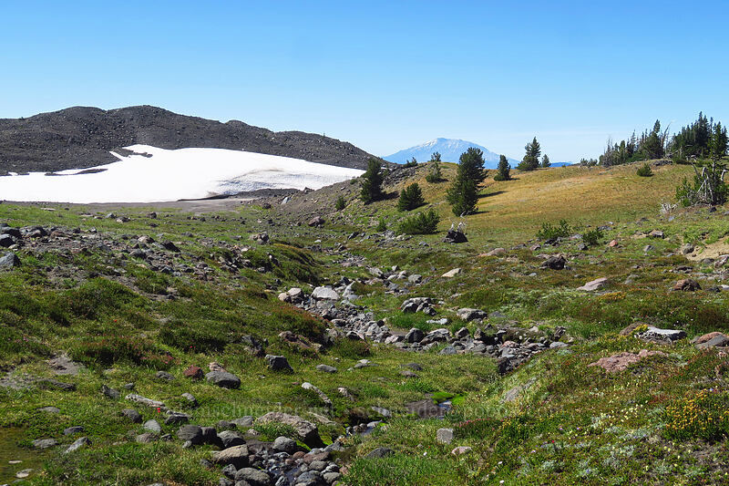 heather-filled gully [Adams Glacier Meadows, Mt. Adams Wilderness, Skamania County, Washington]