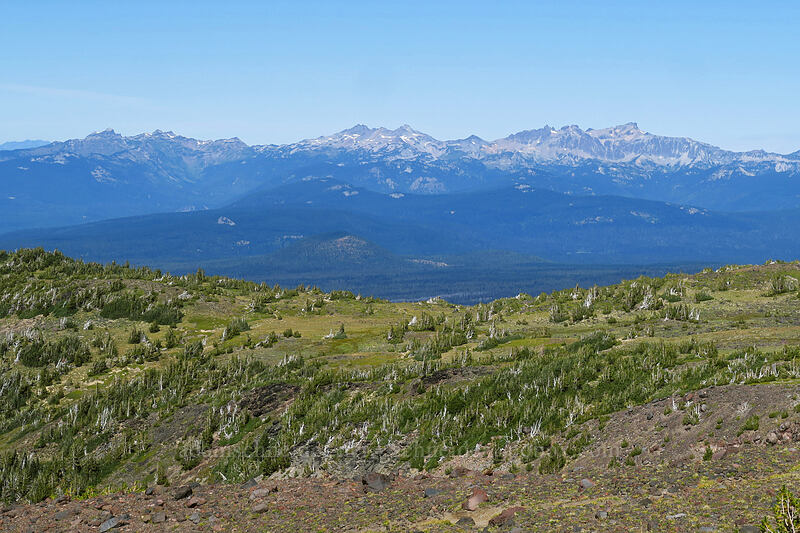 Goat Rocks [Adams Glacier Meadows, Mt. Adams Wilderness, Skamania County, Washington]