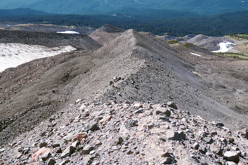 moraine [Adams Glacier moraine, Mt. Adams Wilderness, Yakima County, Washington]