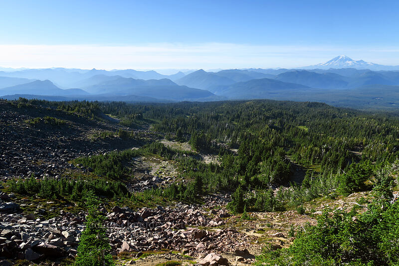 view to the northwest [High Camp Trail, Mt. Adams Wilderness, Skamania County, Washington]