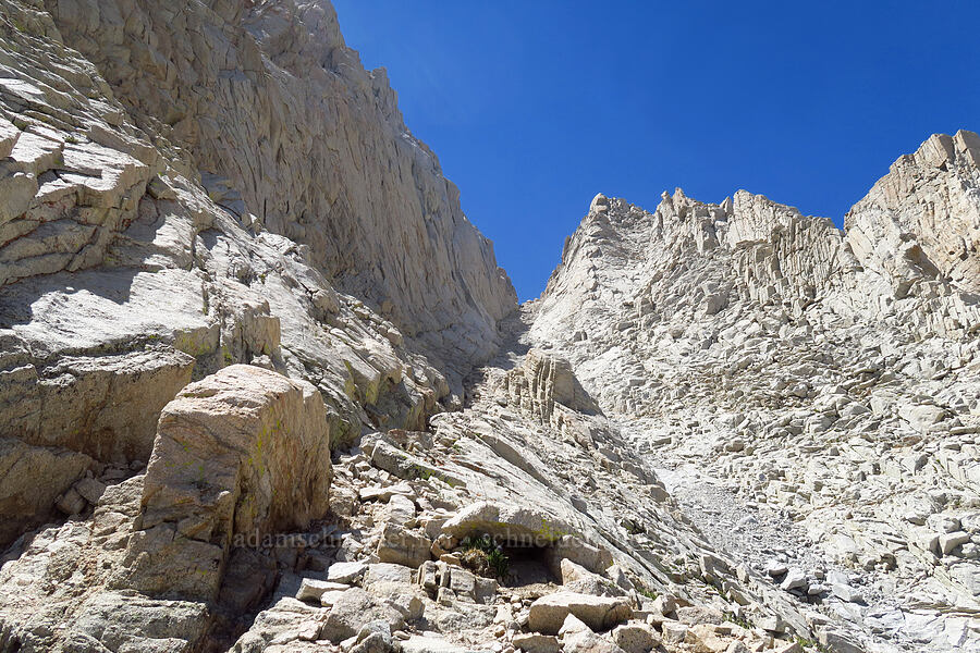 the chute to The Notch [Mount Whitney Mountaineer's Route, John Muir Wilderness, Inyo County, California]