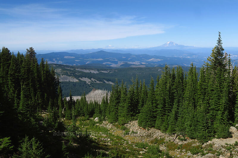 Mt. Adams, Mt. Rainier, & The Pinnacle [Timberline Trail, Mt. Hood Wilderness, Hood River County, Oregon]