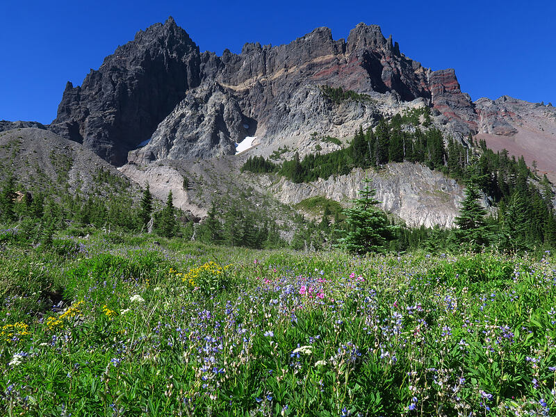 wildflowers & Three-Fingered Jack [Canyon Creek Meadows, Mt. Jefferson Wilderness, Jefferson County, Oregon]