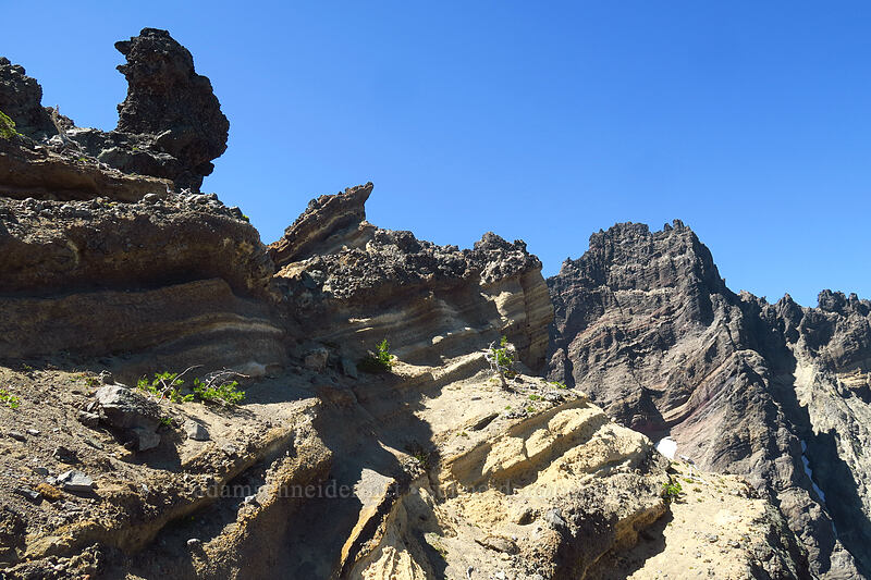 volcanic rock [Three-Fingered Jack's east ridge, Mt. Jefferson Wilderness, Jefferson County, Oregon]