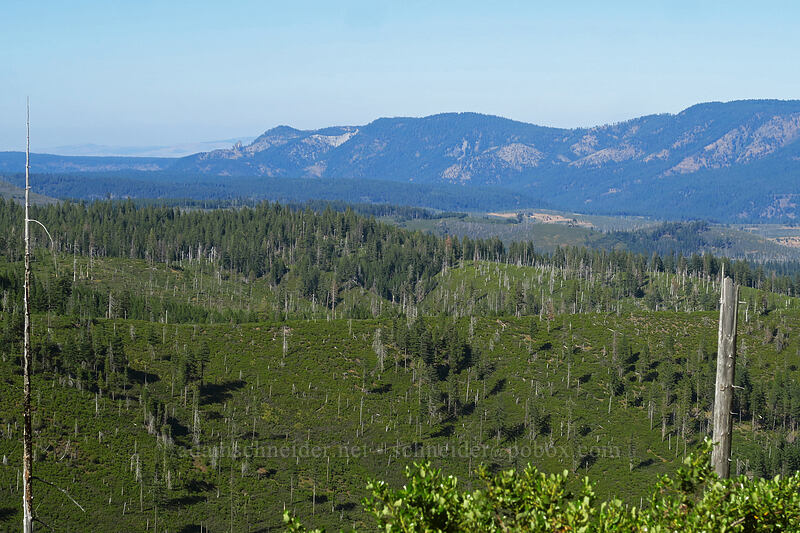 north end of Green Ridge [Jack Lake Road, Mt. Jefferson Wilderness, Jefferson County, Oregon]