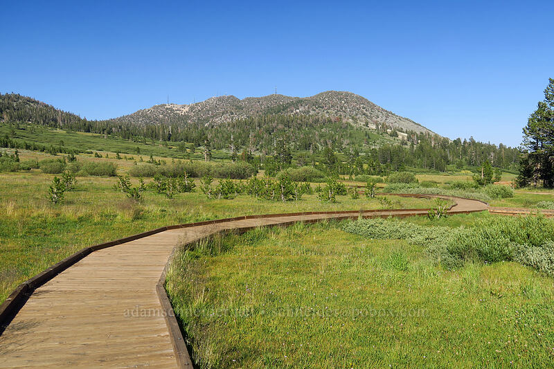 Tahoe Meadow & Slide Mountain [Tahoe Meadow, Humboldt-Toiyabe National Forest, Washoe County, Nevada]