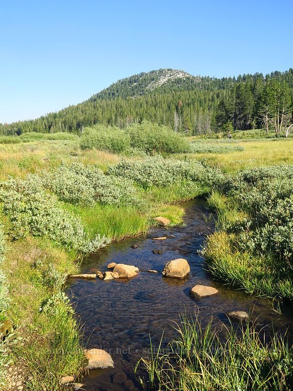 Ophir Creek [Tahoe Meadow, Humboldt-Toiyabe National Forest, Washoe County, Nevada]