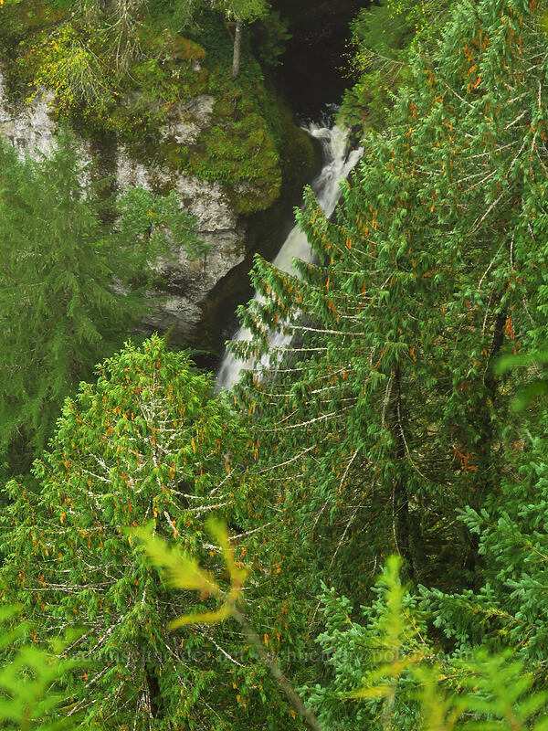 Cave Falls [Big Creek Falls Trail, Gifford Pinchot National Forest, Skamania County, Washington]
