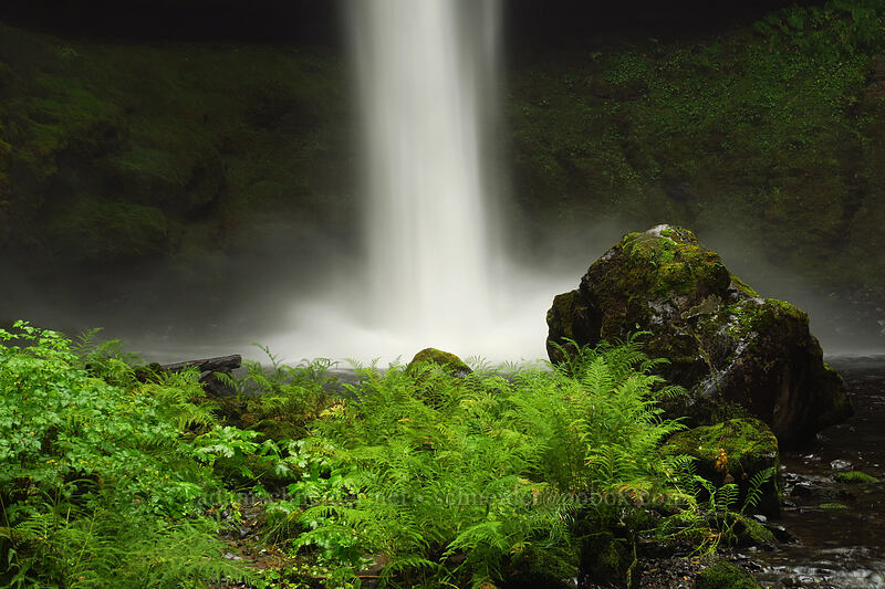 Big Creek Falls [Big Creek Falls Trail, Gifford Pinchot National Forest, Skamania County, Washington]