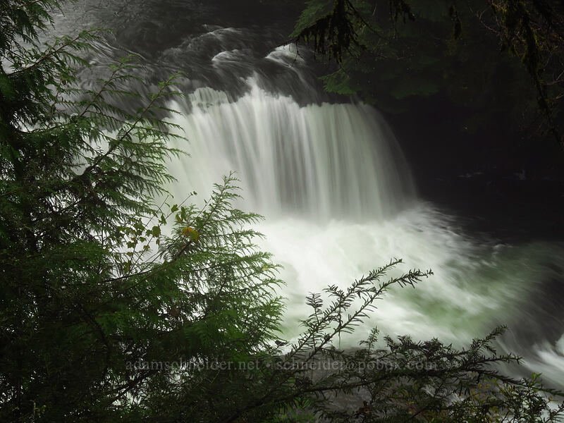 Taitnapum Falls [Lewis River Trail, Gifford Pinchot National Forest, Skamania County, Washington]