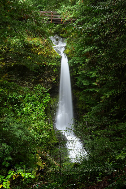 Copper Creek Falls [Lewis River Trail, Gifford Pinchot National Forest, Skamania County, Washington]