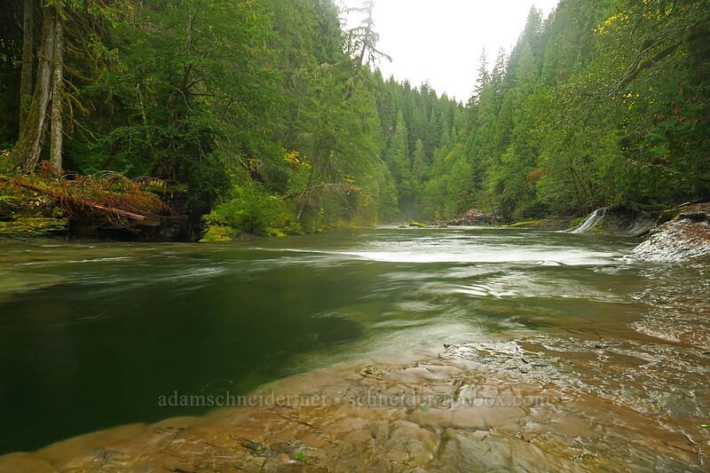 Lewis River below Middle Falls [Lewis River Trail, Gifford Pinchot National Forest, Skamania County, Washington]