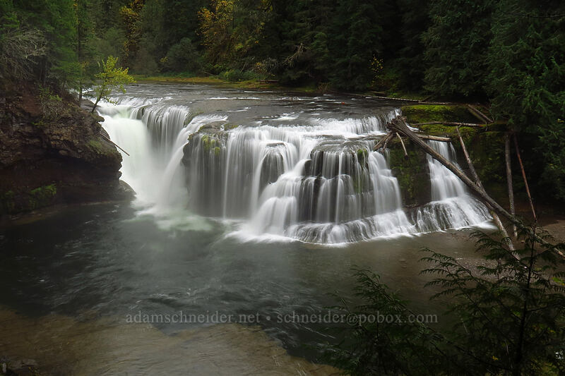 Lower Lewis River Falls [Lewis River Trail, Gifford Pinchot National Forest, Skamania County, Washington]