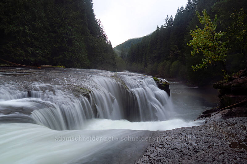 Lower Lewis River Falls [Lewis River Trail, Gifford Pinchot National Forest, Skamania County, Washington]
