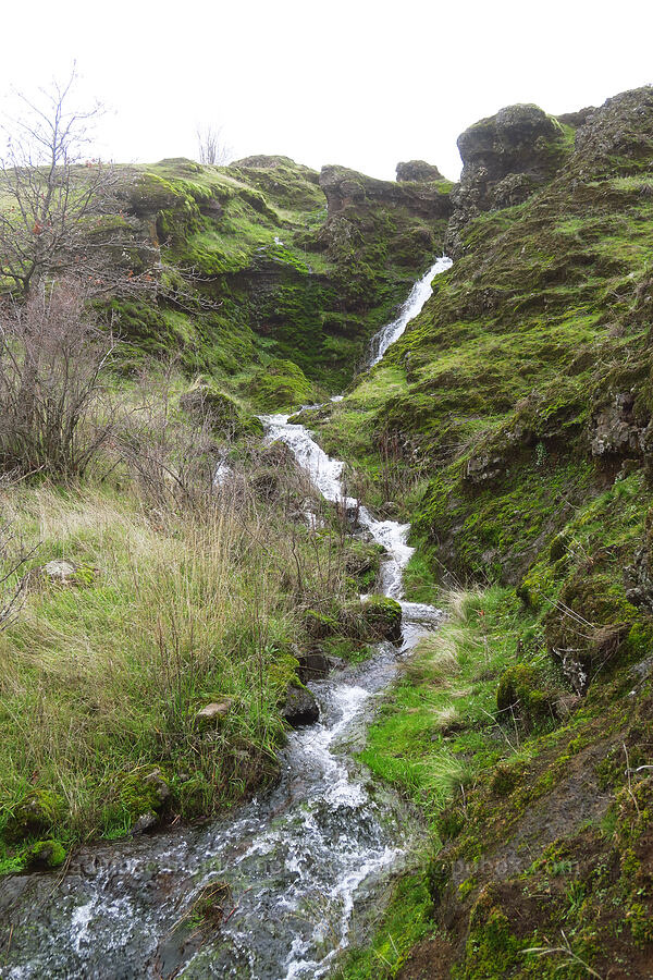 tiny waterfall [The Labyrinth, Klickitat County, Washington]
