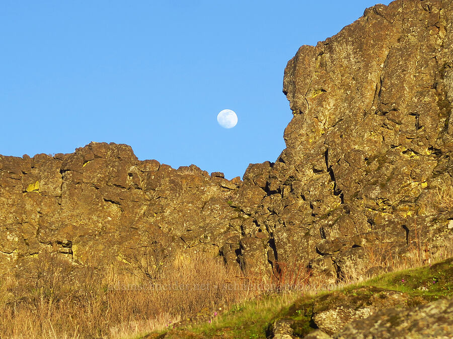 moon & basalt [east of Lyle, Klickitat County, Washington]