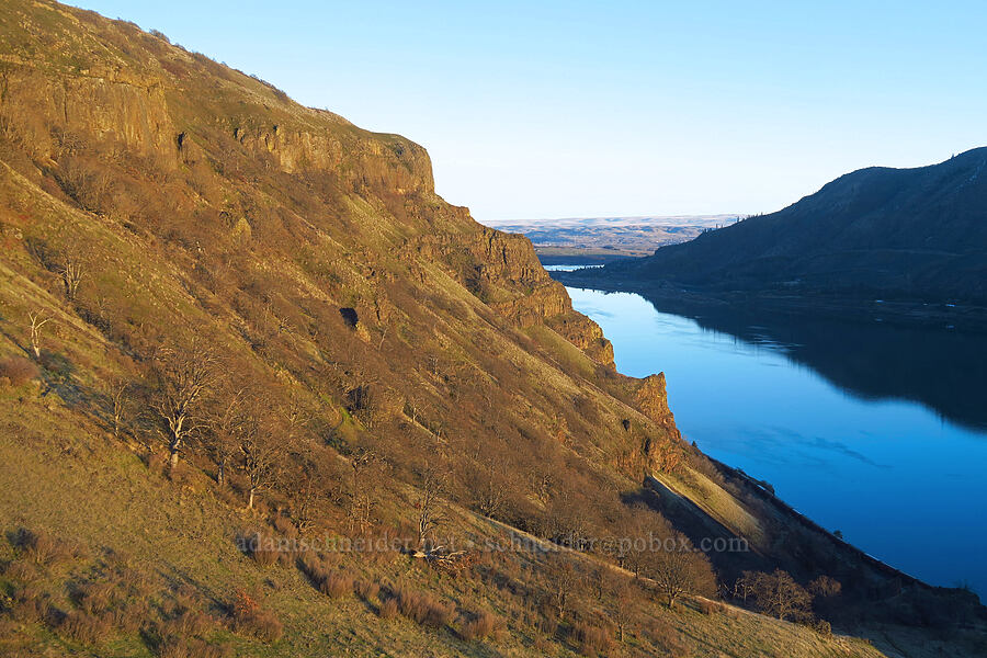 cliffs & the Columbia River [east of Lyle, Klickitat County, Washington]