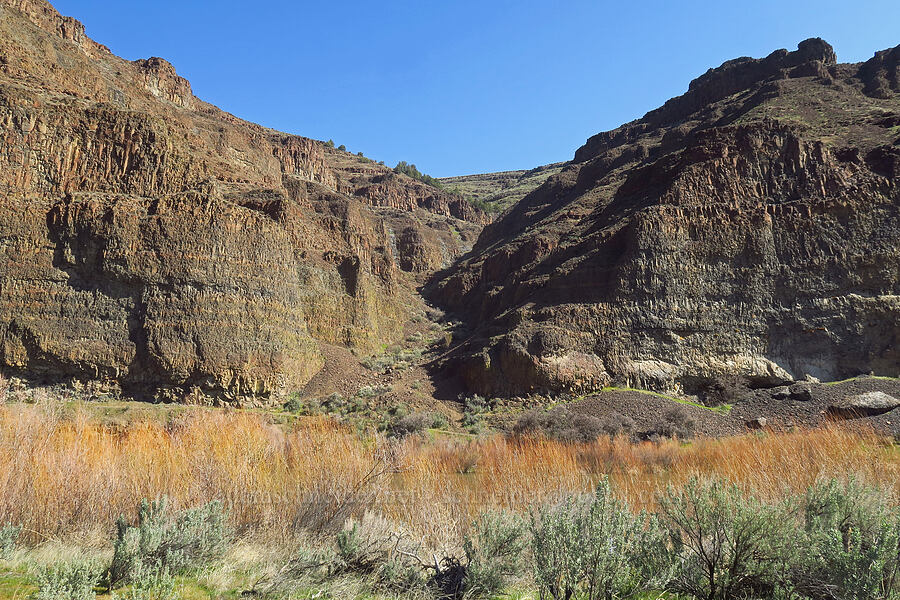 cliffs across the river [Lost Corral Trail, Cottonwood Canyon State Park, Gilliam County, Oregon]