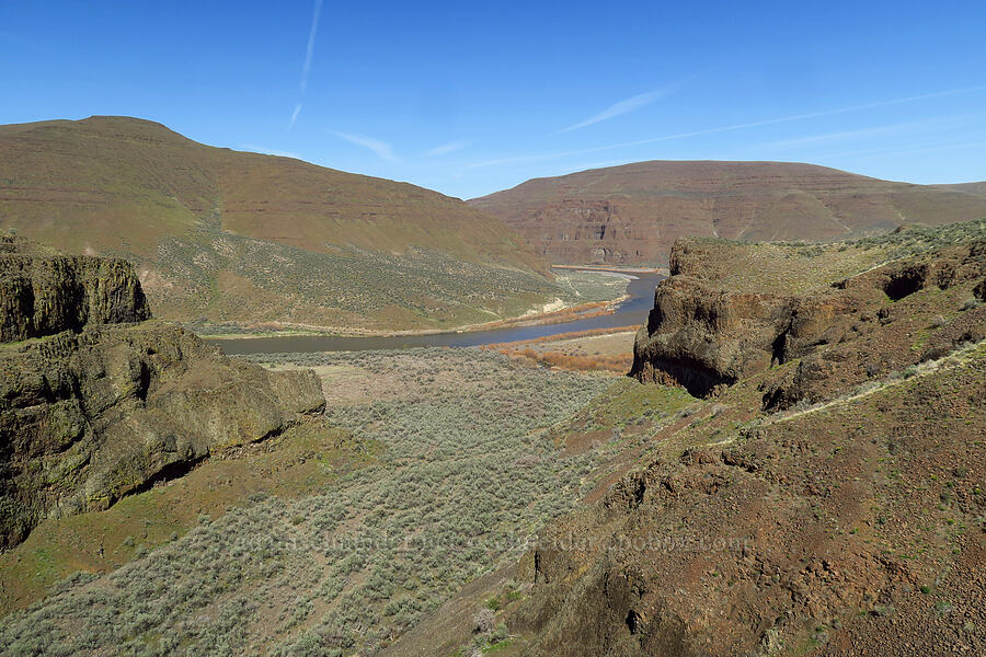 side canyon & the John Day River [above Lost Corral Trail, Cottonwood Canyon State Park, Gilliam County, Oregon]