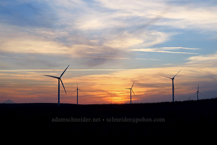 wind turbines at sunset [Starvation Lane, Sherman County, Oregon]