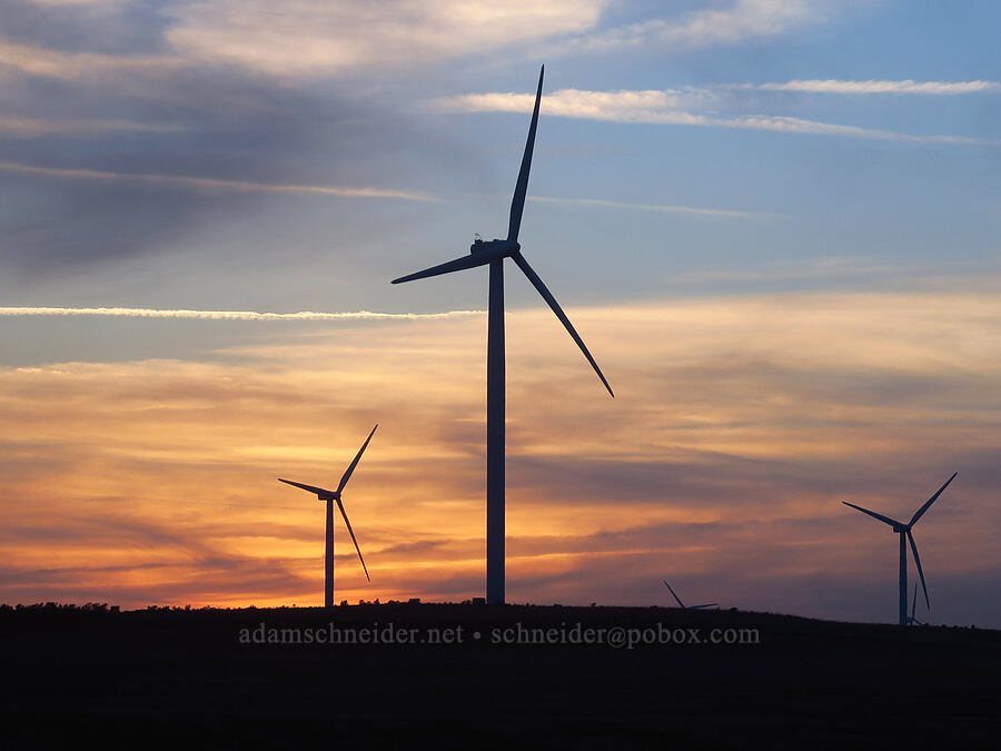 wind turbines at sunset [Drinkard Road, Sherman County, Oregon]