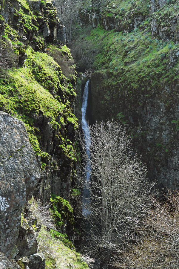Rowena Dell Falls [Rowena Dell, Wasco County, Oregon]