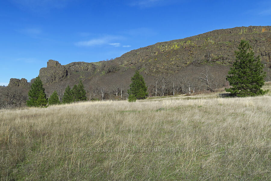 Rowena Plateau from the west [Rowena Dell, Wasco County, Oregon]
