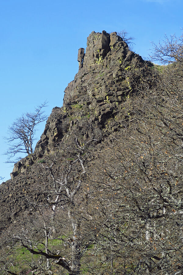 basalt crag at the end of Rowena Plateau [Rowena Dell, Wasco County, Oregon]