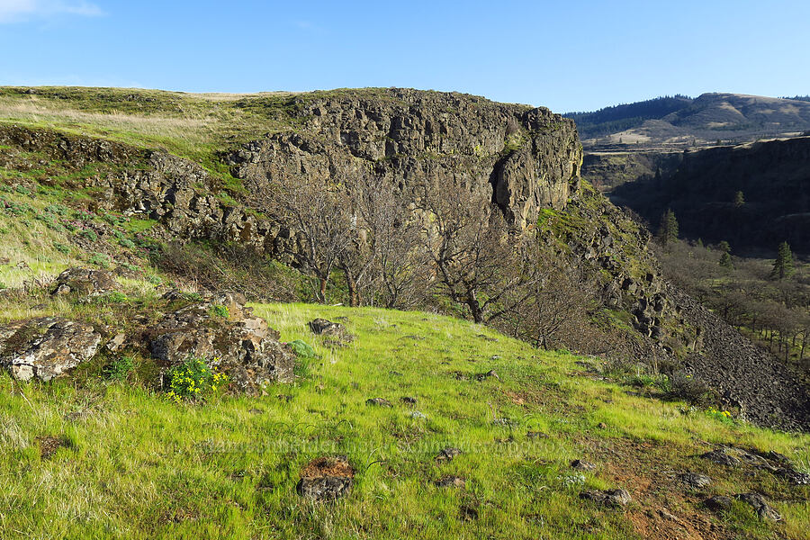 western edge of Rowena Plateau [Rowena Plateau, Wasco County, Oregon]